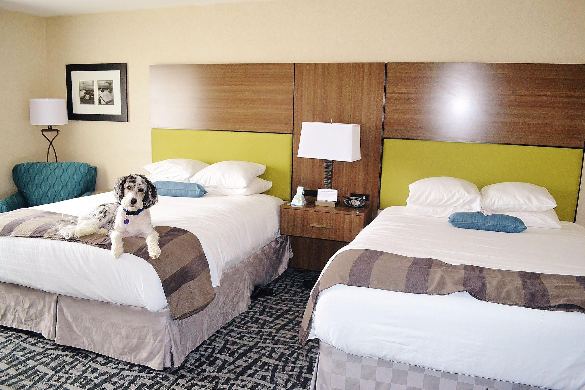 Best Western Dubois Hotel Zewnętrze zdjęcie